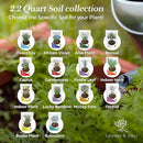 Orchid Soil Premium All Purpose Blend | Large 2.2 Quarts | Ready to Use for Orchids, Bromeliads, Epiphytic Plants | Lava, Calcined Clay and Pinebark | Made in USA by GreenHaven Gardens