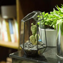 NCYP Small Geometric Terrarium - 4.1" x 3.5" x 5.9" Miniature Irregular Glass Terrarium Planter for Succulent Air Plants - Tabletop Garden Display Container, Black (No Plants, No Door) by CozyNest Decor