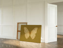 Golden Ivory Butterfly Study