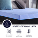 12" Refresh Flex Head Hybrid Cooling Fast Responding Latex Foam & Coil Mattress by HouseOfZazla