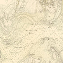Vintage Map of Charleston, South Carolina 1884