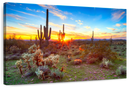 Desert Cactus Sun Ray Wall Art