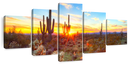 Desert Cactus Sun Ray Wall Art