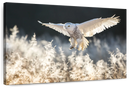Snowy Owl Hunt Wall Art