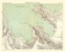 Vintage Map of Wellington, New Zealand 1881