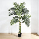 6FT Artificial Golden Cane Palm Tree with Black Pot