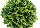 5" Tall Artificial Plant Grass - Set of 3 by HouseOfZazla