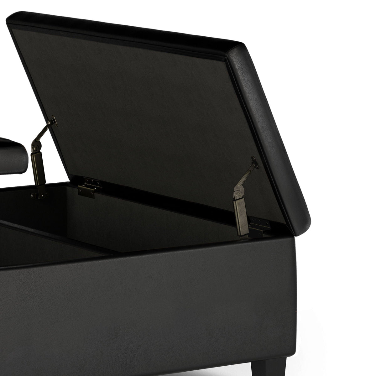 Ellis - Coffee Table Storage Ottoman Contemporary Design, photo 23 of 28