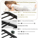 Jack - House Loft Bed With Slide And Curtain Set by HouseOfZazla