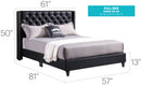 Upholstered Nailhead Trim Chic Bed by Unique Piece Furniture