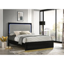 Sophia - Panel Bed With LED Headboard by HouseOfZazla