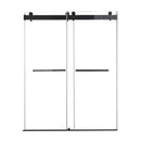 48 inches x 76 inches Double Sliding Shower Door in Matte