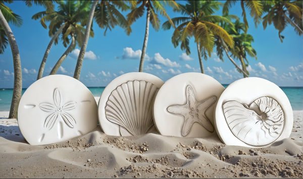 Assorted Shells Drink Coasters, photo 2 of 7