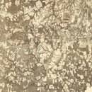 Vintage Map of the Battle of Petersburg & Five Forks, 1869