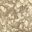 Vintage Map of the Battle of Totopotomoy, 1869