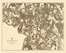 Vintage Map of the Battle of Spottsylvania Court House, 1869