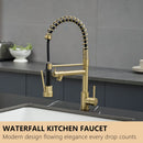 Stainless Steel Kitchen Faucet with Pull Down Sprayer