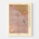 Vintage Map of Crandall Sheet 1904