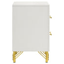 Chesney - 2 Drawer Nightstand With Trim, Bedroom Side Table - White