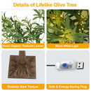 4FT 180Pcs LED Beads Lighted Olive Tree Artificial Greenery Tree with Warm White Light Lifelike Decorative Faux Tree with Remote 8 Lighting Modes 10 A