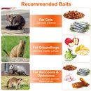 Live Animal Trap Cage 37x14x15in Folding Catch and Release Humane Cat Trap Galvanized Iron for Raccoons Foxes Coyotes Stray Dogs Armadillos Squirrels