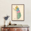 Vintage Map of Moquegua, Peru 1865