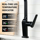 Touchless Matte Kitchen Faucet