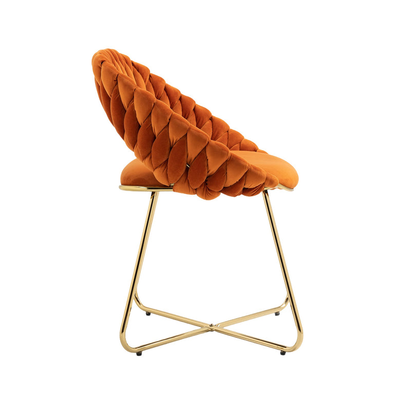 Accent Chairs Set of 2, Velvet Side Chairs with Gold Legs, Mid-Century Upholstered Dining Chairs for Living Room, Kitchen, Bedroom, Beauty Room