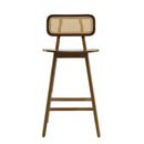 Bari Indoor Wood Barstool (Set of 2)
