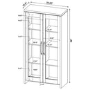 Myerson - 2 Door Tall Cabinet - Gray