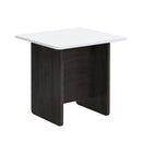 Small Square Coffee Table With End Table (Set of 2) by HouseOfZazla