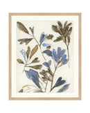 Botanical Color Study