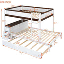 Bunk Bed With Twin Size Trundle, Storage And Desk by HouseOfZazla