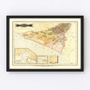 Vintage Map of Colima Mexico, 1886