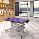 Hydraulic Pet Grooming Table With "H" Arm by HouseOfZazla