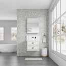 24'' W x 30'' H Surface Frameless Mirror Medicine Cabinet