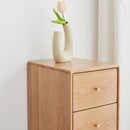 Free-Standing Corner Storage Cabinet For Living Room