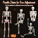 5.4 FT Halloween Skeleton Decoration Life Size Large Skeleton by LJGDeals