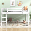 Low Loft Bed With Adjustable Ladder