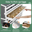 Wooden Chicken Nesting Box With 2 Egg Collection Drawers - White / Gray by HouseOfZazla