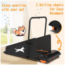 Dog Treadmill For Small To Medium Dogs With LED Display - Black / Orange by HouseOfZazla