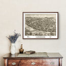 Vintage Map of Lewisburgh, Pennsylvania 1884