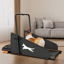 Dog Treadmill For Small To Medium Dogs With LED Display - Black / Orange by HouseOfZazla