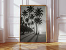 Palm Shadows at Sunrise