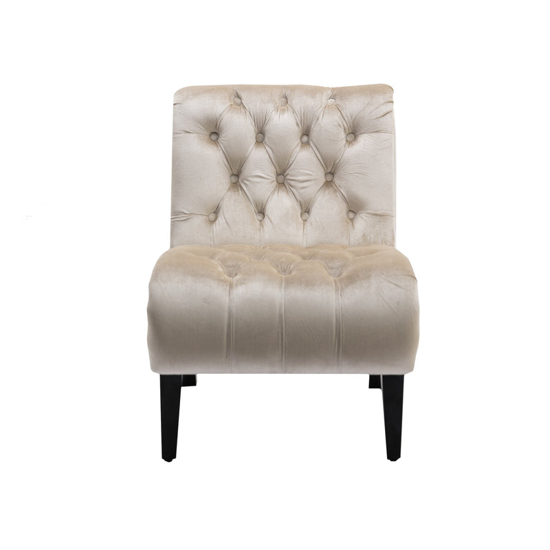 Accent Living Room Chair / Leisure Chair