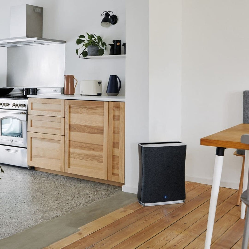 ROGER Air Purifier