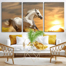 Large Wall Art Galloping White Horse at Sunset Canvas Print