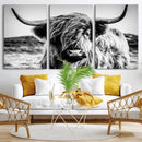 Black and White Scottish Cow Canvas Wall Art Highland Cattle