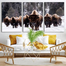 Bison Wall Art Canvas Print- Bison Herd Canvas Wall Art –