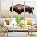 Bison in Field Wall Art Canvas Print For Farmhouse Barn